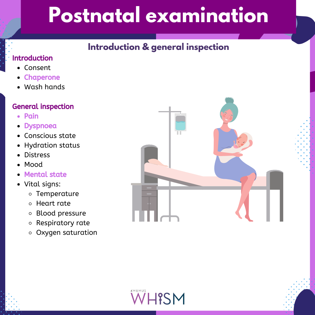 Postnatal exam